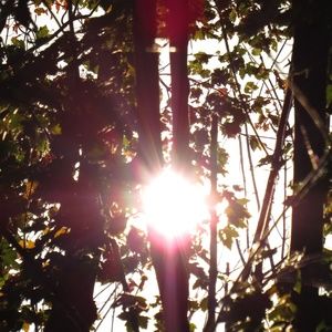 Meet your Posher, Garrett